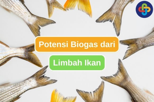 Inilah Alasan Limbah Ikan Merupakan Sumber Biogas yang Potensial